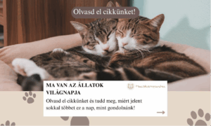 Ma van az Állatok Világnapja