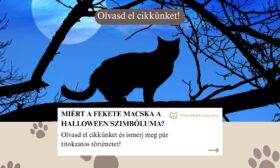 Hogyan lett a fekete macska a Halloween szimbóluma?