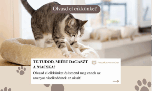 Miért dagaszt a macska?