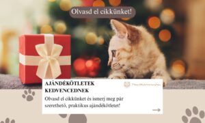 Ajándékötletek