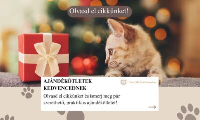 Ajándékötletek