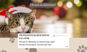 tiltólistás falatok