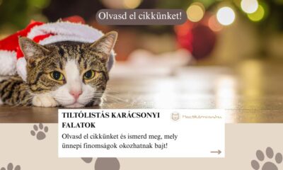 tiltólistás falatok