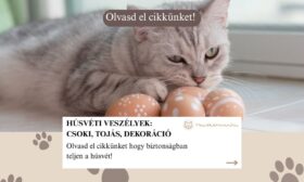 Húsvéti veszélyek